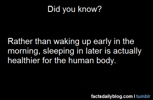 facts-daily:More facts on FactsDaily:)