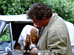 jacksondeforestkelley-archive-d:  Columbo // Grand Deceptions (1989) 