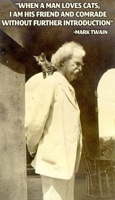 exp3ctopatr0num:  setbabiesonfire:  I really like how obsessed with cats Mark Twain