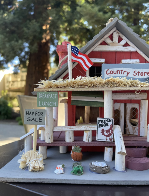 Country Store Birdhouse by dreamjersey