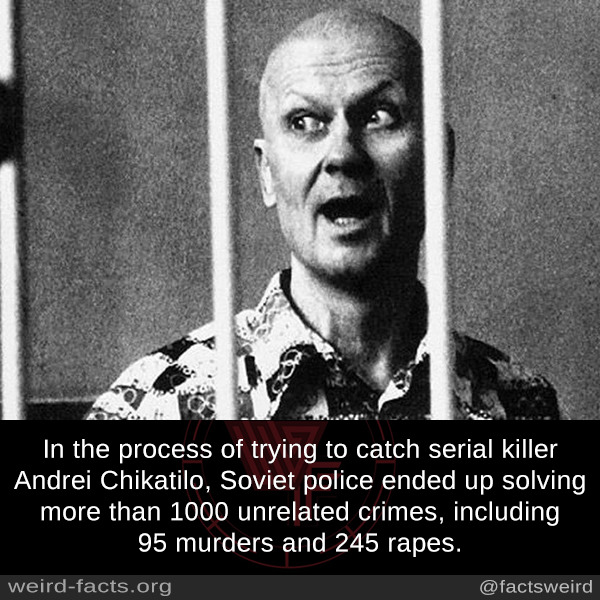 Weird Facts, In the process of trying to catch serial killer...