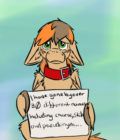 askscruffasus:  I have no words… other than Bandwagon… Spades made me do it… Also it’s spam the crap out of tumblr day… Be warned.  xD D'aww~ ;w;