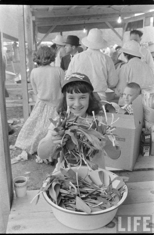 Ramp Festival in Cosby, Tennessee(Robert W. Kelley. 1955)