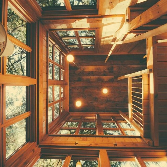 kateoplis:  Treehouses of the Pacific NW 
