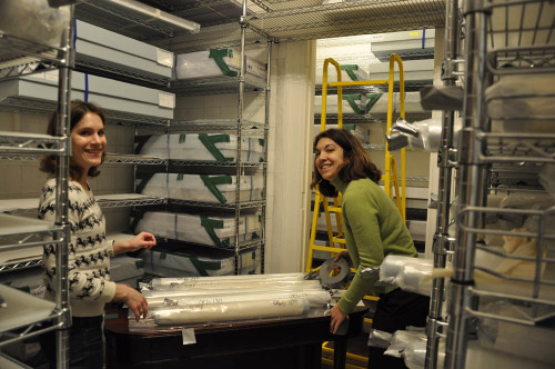 Recently some of The Textile Museum’s non-collections staff members lent a hand preparing our 