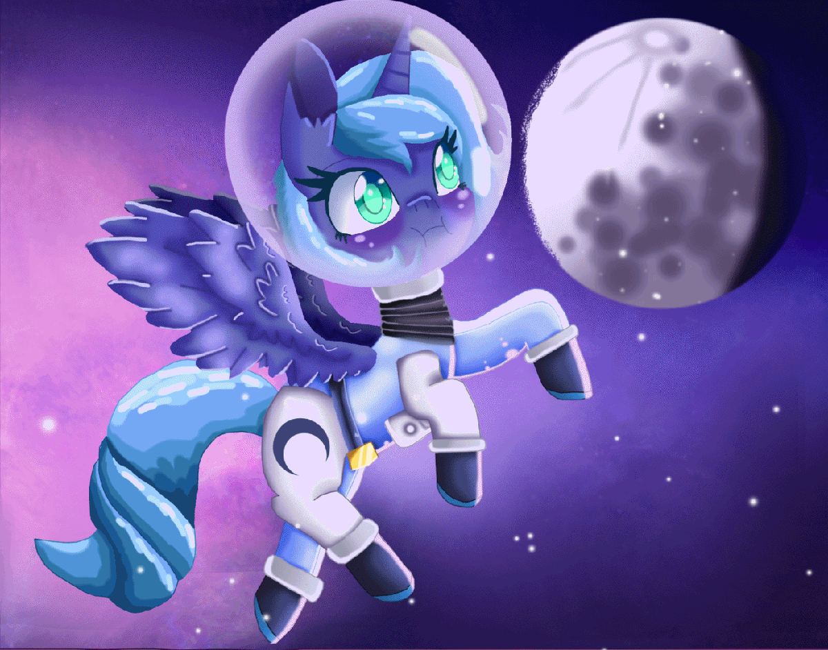 cheesybroccoligirl:Space horse
