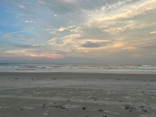 Puppy Posting From The Beach Ruff Ruff