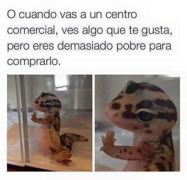 misangrellama:  toyota:  Yo   when you go to the mall, you see something you like