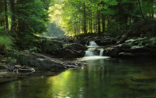 my-shadow-box: Green Stream by shade-pl (Tomasz)