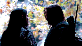 dawnofthedusk:To All the Ships I’ve Loved Before  ||  Aragorn/Arwen (Lord of the Rings)