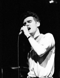 ticket2175:  Morrissey singing on stage, 1984 by Harry Prosser 