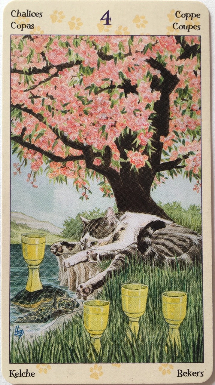 heartlocks:  Tarot of Pagan Cats ✨