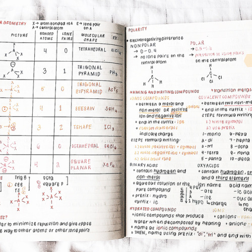 thecoffeedesk:chem reviewer for my finals last march ⚗️