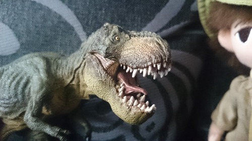 ALSO! My Papo Tyrannosaurus arrived today! He’s terrific, and he has pride of place on my desk now. 