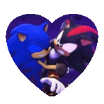 sonic & shadow