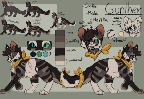 Heres A Large Ref Sheet Of My Boy Gunther! Hes A Really Old OC I Just Found And Thought Would Be Fun