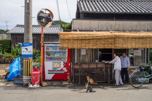 catsandtheirhumans:  PhoTones Works #3141 (by PhoTones_TAKUMA)