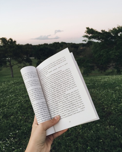 clockworkbibliophile:the meadow reminded me of mockingjay.