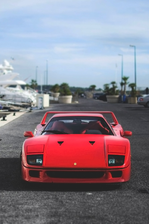 themanliness:  The Legend | Source | MVMT | Facebook
