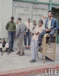 suicidewatch:  Los Angeles, 1966