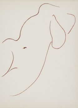 topcat77:  Matisse
