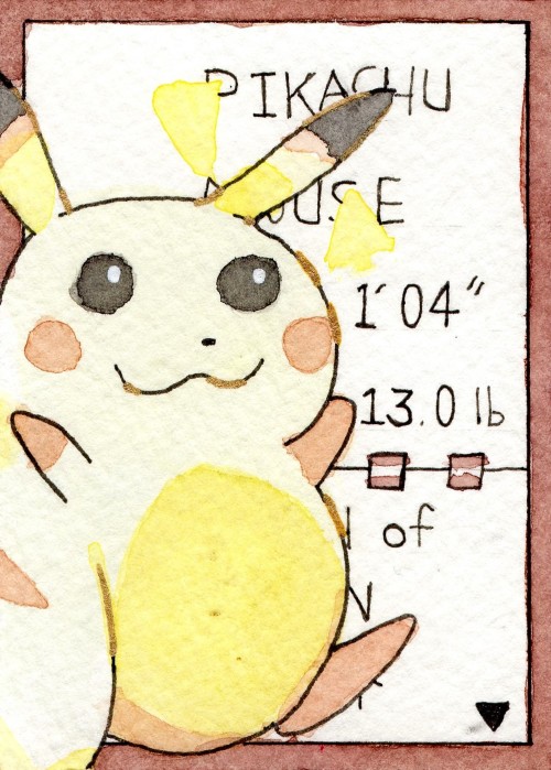 PikachuPokedex styleWatercolor, ink, gel pen