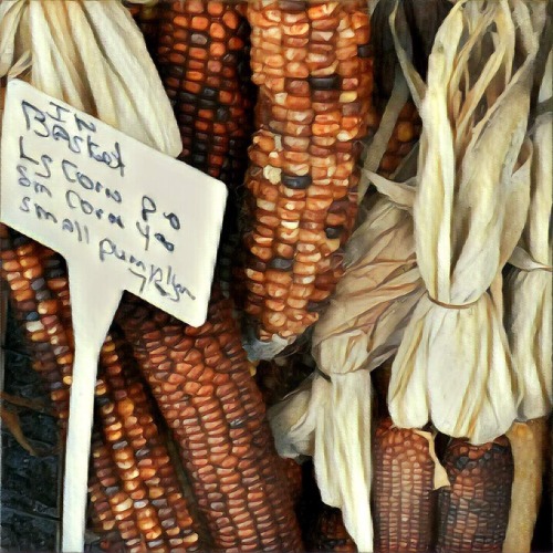 Decorative Corn, Oak-Marr Farmer’s Market, 2016.