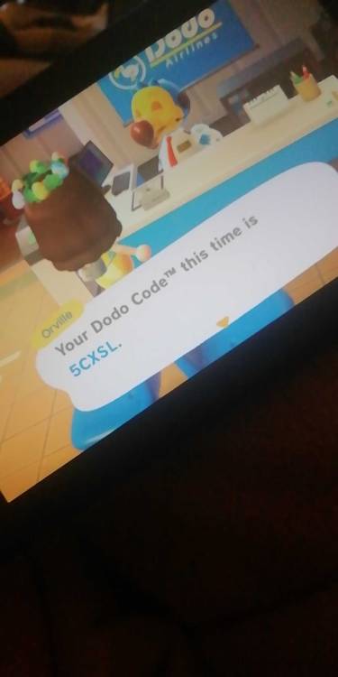 acnh dodo code share acnh dodo code share