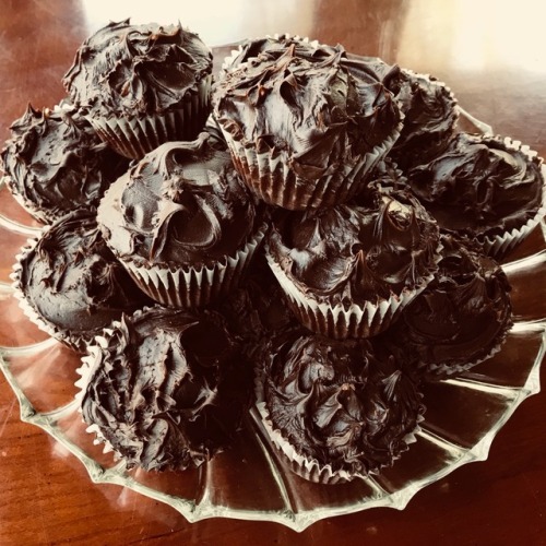 wehadariverboatinourlivingroom: Our family enjoyed the deep chocolatey flavor of these cupcakes ofte