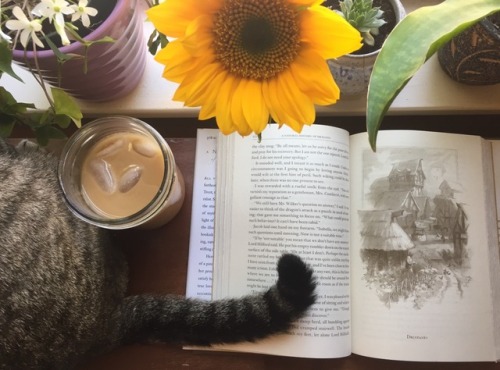 bookoflostthings:Dragons and iced coffee make for a perfect study break 