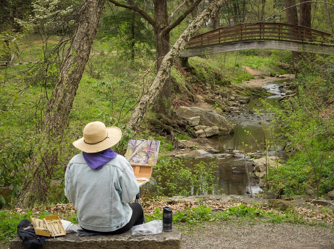 bobpilzwnc: ‘Picture in Picture’ at the North Carolina Botanical Gardens in Asheville, NC. Several years ago though spring is about at the same stage right now.
#asheville #wnc #wnclife #828isgreat #olympus #spring #springtime via:...