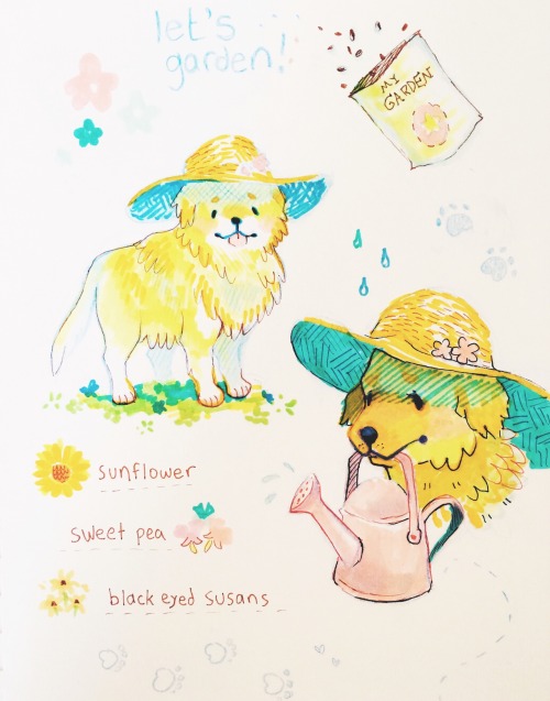 witchpaws:a golden retriever who loves to garden