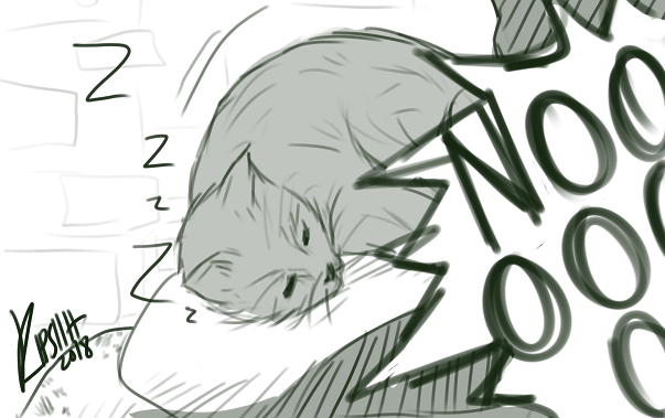 kipsiart: the cat wins this round [that cat vid] 