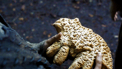 rubyredwisp:  Game of Thrones 3.03 - Walk of PunishmentThere’s a beast in every man and it stirs when you put a sword in his hand. 