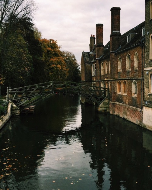 neurorlagy - Cambridge, Nov 4 2017