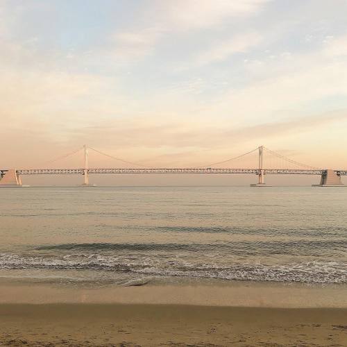 markclub:day.eun