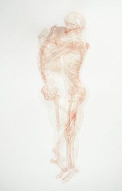 fer1972:  ‘Abrazos’: Anatomical Watercolor