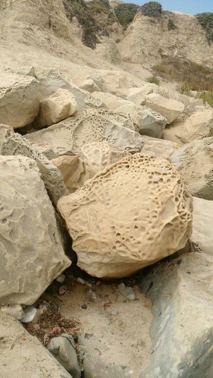 dalisrhinoceros:Beautiful rocks at a beach in Santa Barbara. Does anyone from geology tumblr know wh