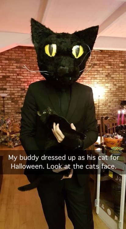 catsbeaversandducks:thehumortrain:  via  “Carl is that you?!”