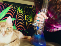 blazedbrohammad:  😸