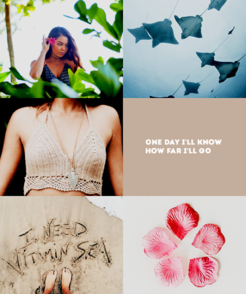 iriswestt: MODERN DISNEY PRINCESS AESTHETIC: MOANA