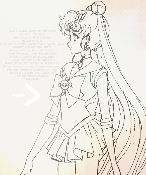 hanae-ichihara:   U S A G I    T S U K I N O    P R O F I L E   