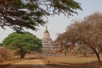 Temple , Bagan, Myanmar