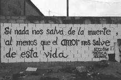 somospoesia:  Ojalá #accionpoetica #Alicante