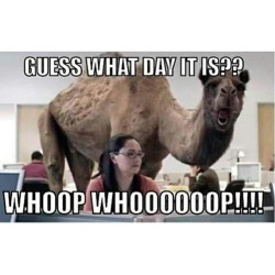 #humpday Woot Wooooot!