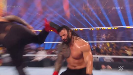 Turtle Hermit On Tumblr turtle-hermit-on-tumblr