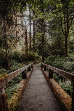 withoutroots: olympic national park: 01