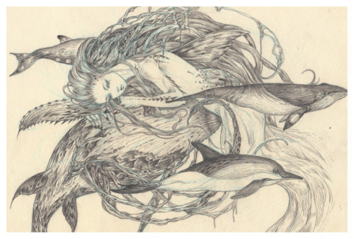 frrmsd: Artist: Elda QD “Kujira  逝” Pencil on Paper