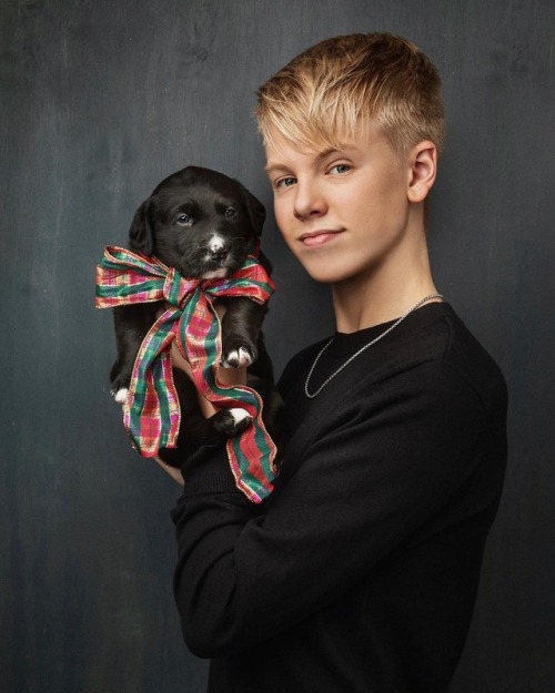 thegayfleet:carsonlueders - Who wants a puppy for Christmas?! Today we celebrate the birth of Jesu
