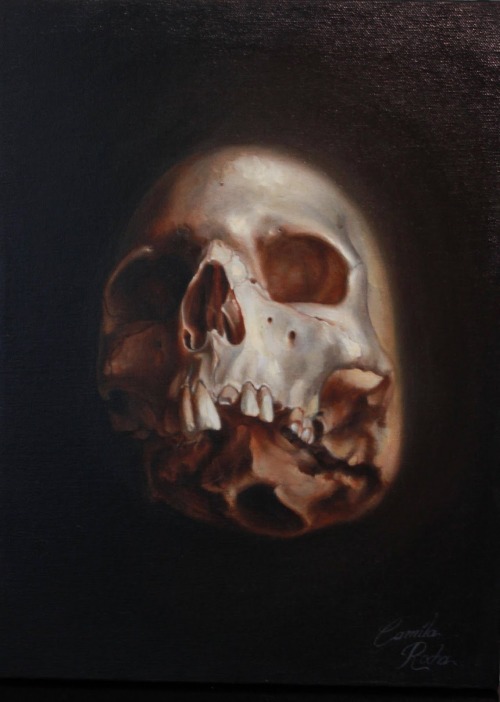 sakrogoat: Camila Rocha - Study of Skull